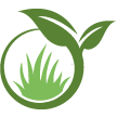 Morrisville Lawn Clean Up