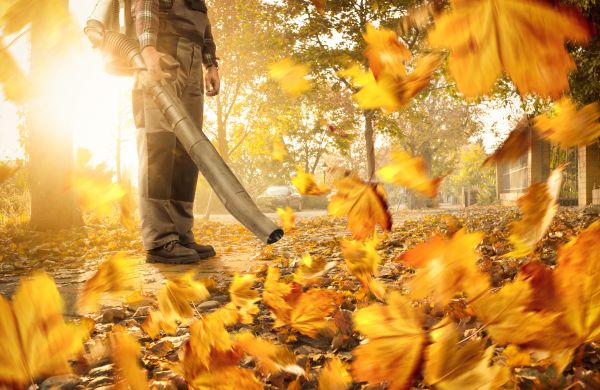 Leaf Blowing Service in Morrisville