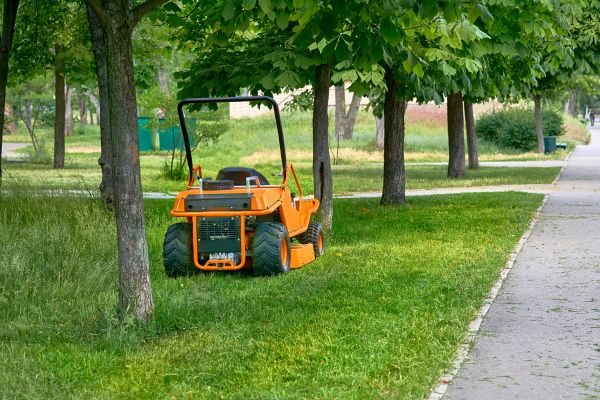 Landscaping Cleanup Service in Morrisville