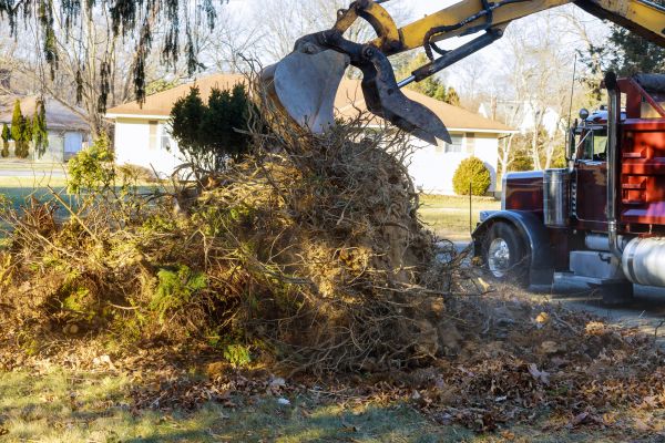 Storm Debris Removal in Morrisville