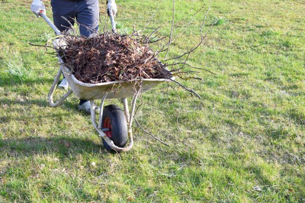 Cost of Yard Brush Removal in Morrisville
