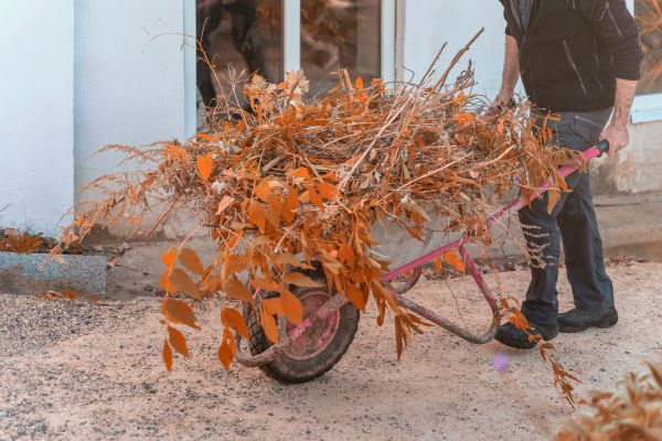 Cost of Lawn Debris Cleanup in Morrisville