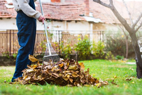 Spring Lawn Cleanup in Morrisville