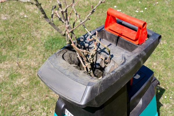 Cost of Brush Cleanup Service in Morrisville
