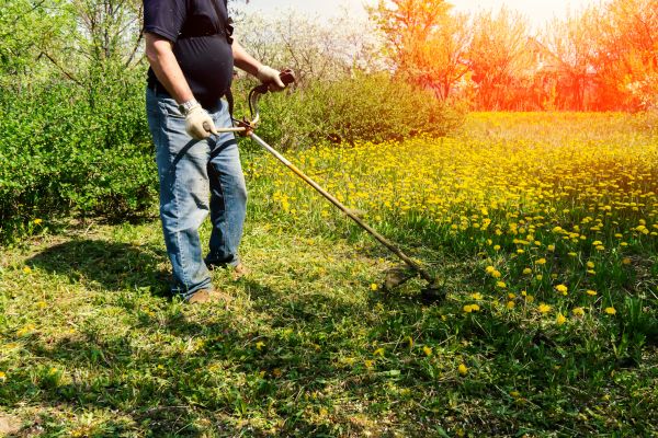 Yard Clearing Service in Morrisville