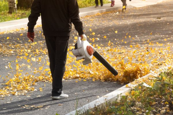 Commercial Leaf Removal in Morrisville