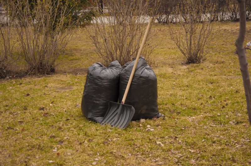 Lawn Clean Up Service