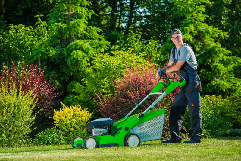 Lawn Clean Up Service