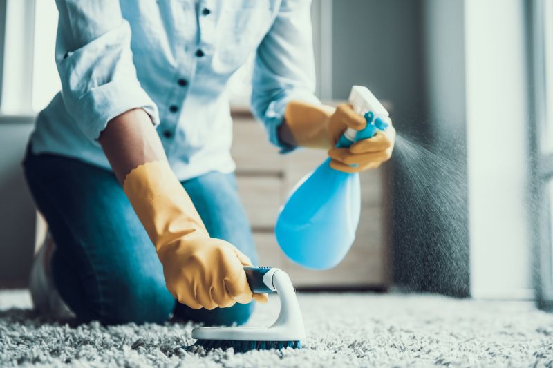 Brush Cleanup Service