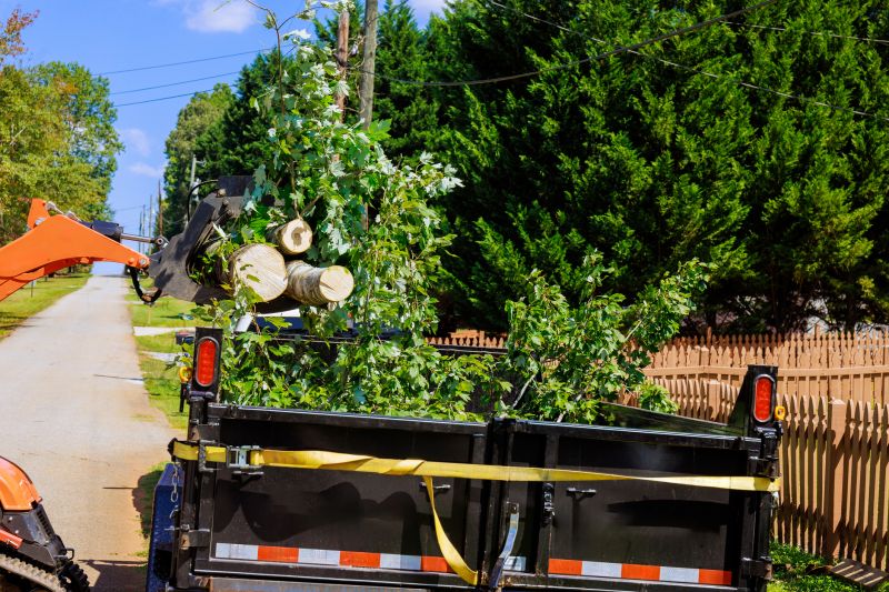 Commercial Leaf Removal