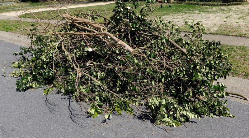 Commercial Leaf Removal