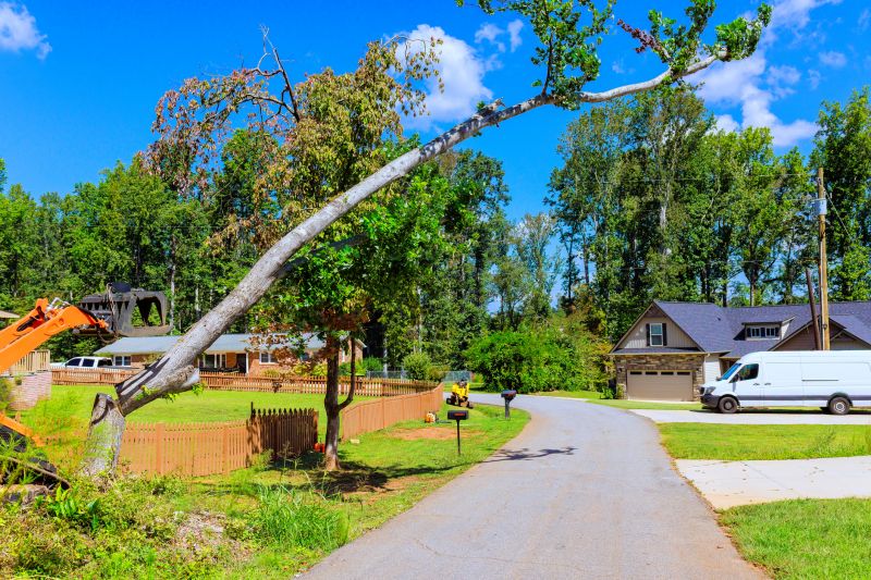 Commercial Leaf Removal