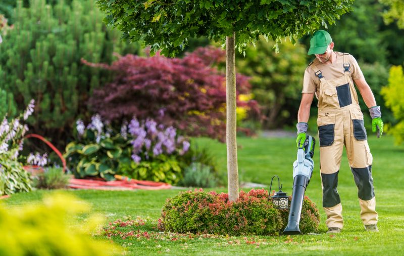 Lawn Clean Up Service