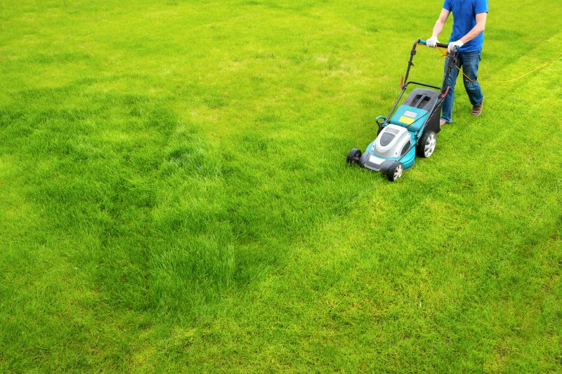 Lawn Clean Up Service