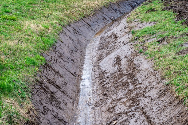 Ditch Leaf Removal