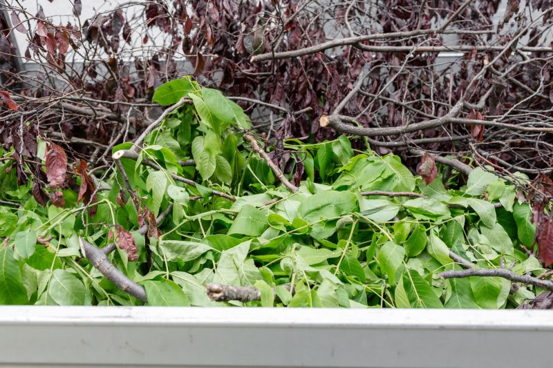 Ditch Leaf Removal