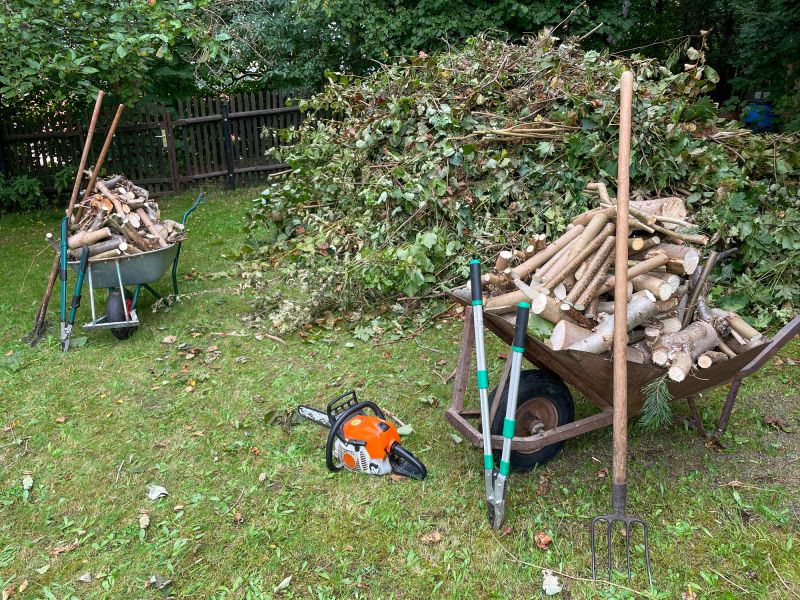 Ditch Leaf Removal
