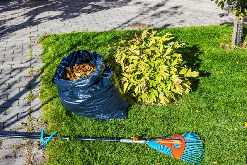 Fall Lawn Cleanup Service