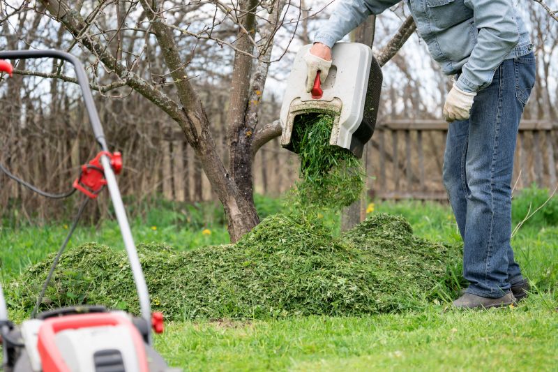 Fall Lawn Cleanup Service
