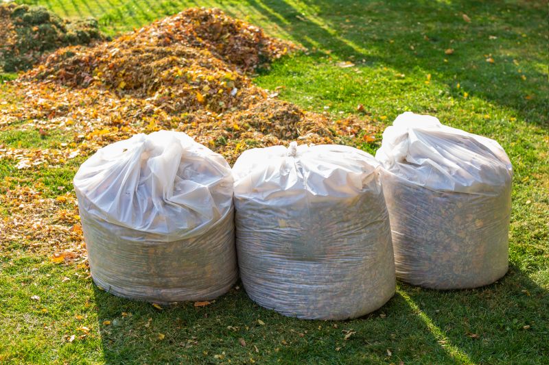 Fall Lawn Cleanup Service