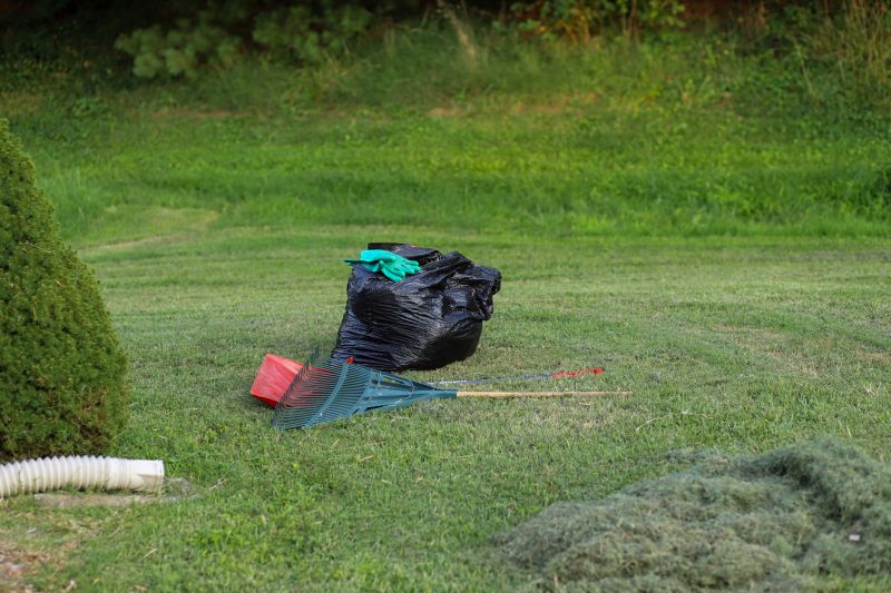 Fall Yard Cleanup Service