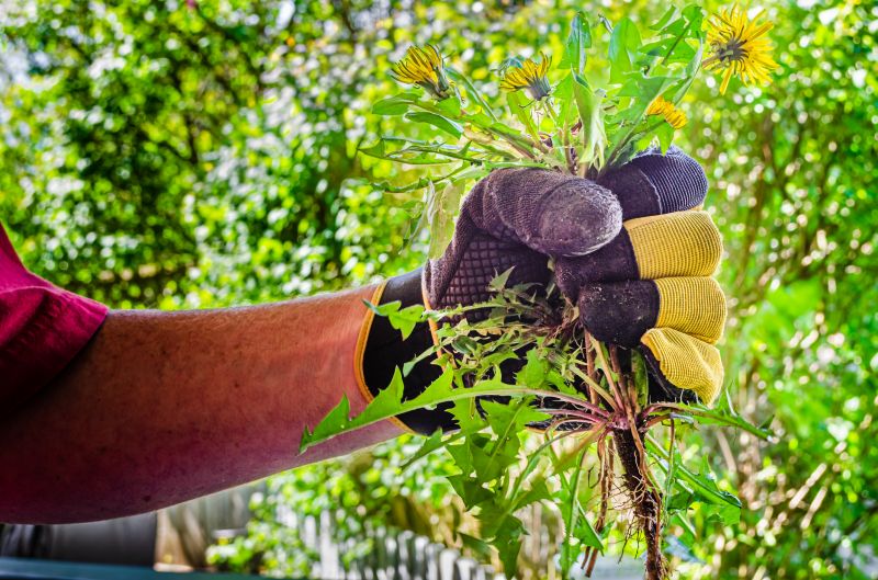 Flower Bed Weeding Service
