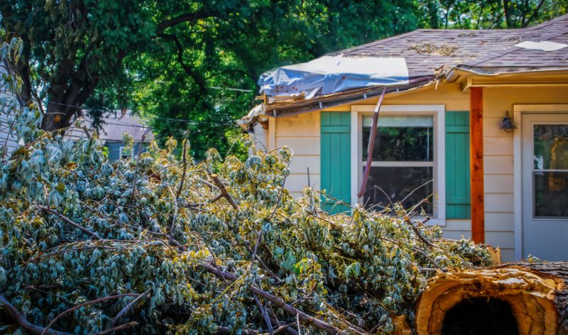Fallen Branch Removal detail