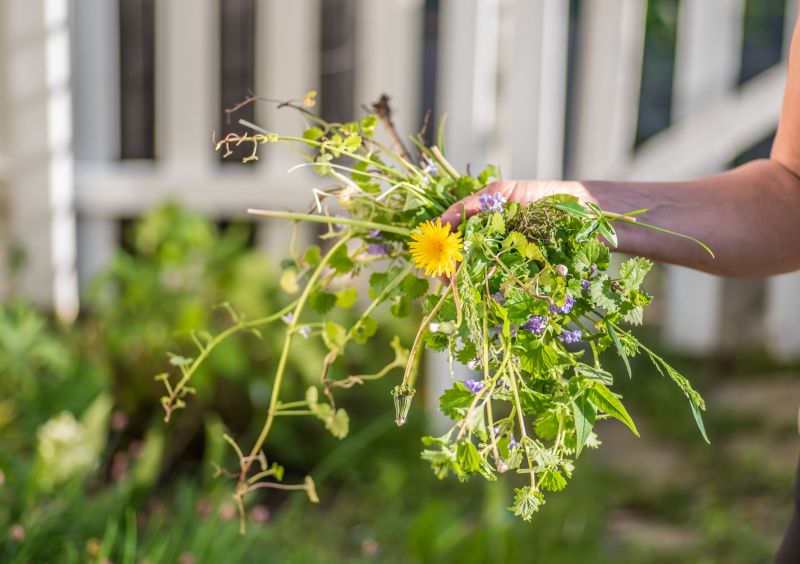 Garden Deweeding detail