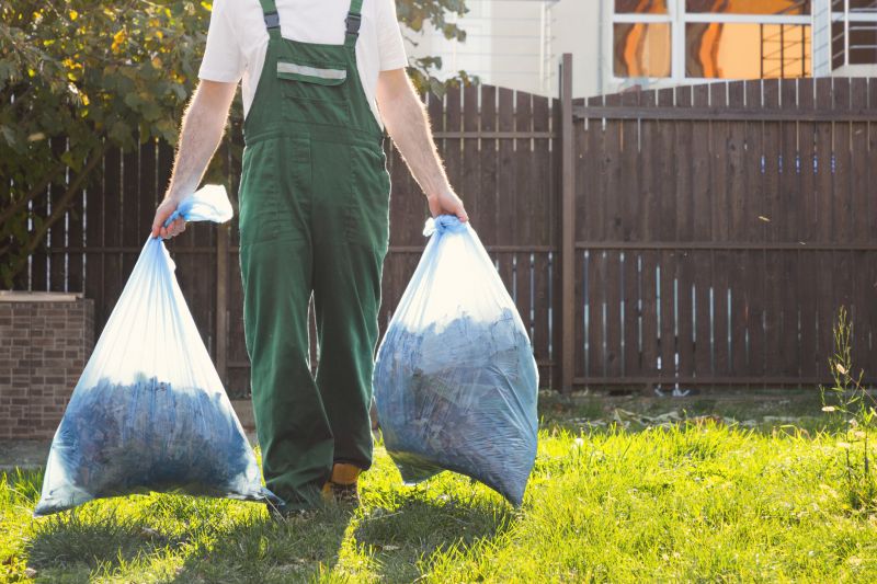 Lawn Debris Cleanup detail