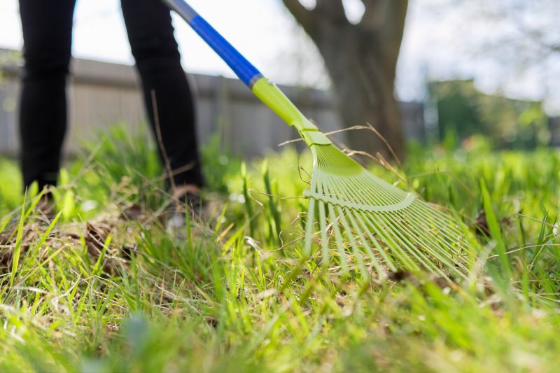 Leaf Raking Service detail