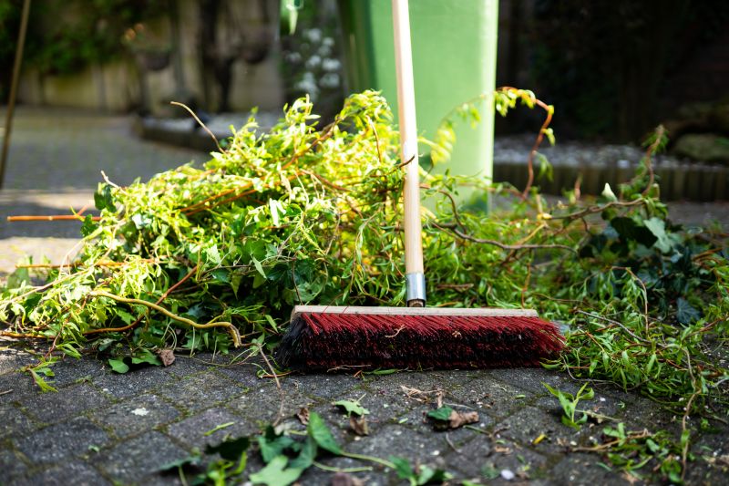 Garden Leaf Removal