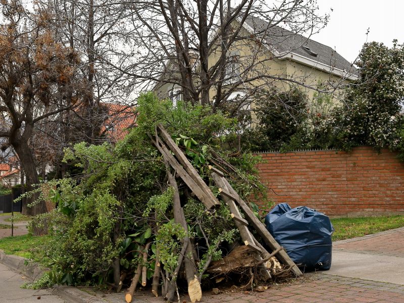 Garden Leaf Removal