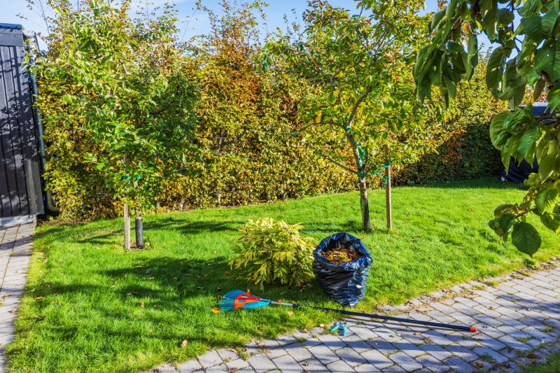 Garden Leaf Removal
