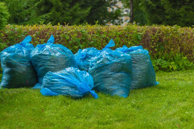 Landscaping Cleanup Service