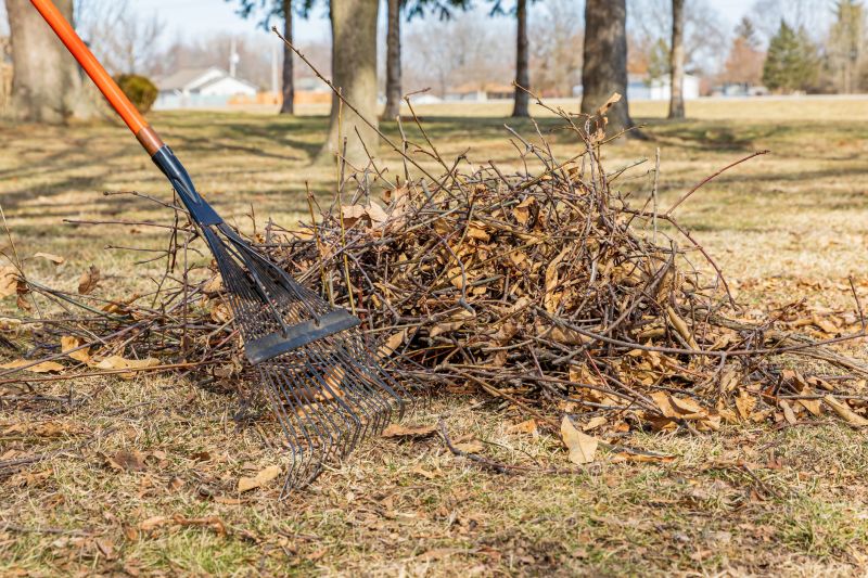 Post-Storm Cleanup