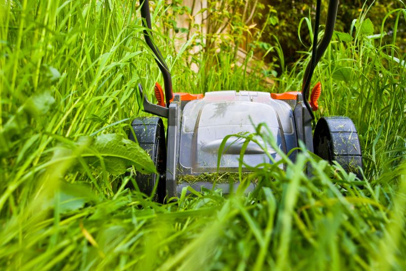 Late Summer Overgrowth Control