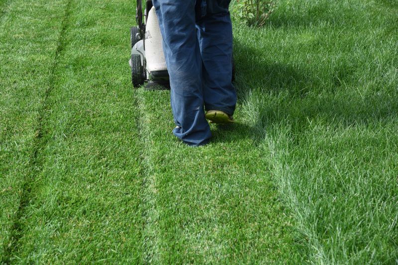 Lawn Cleanup Service