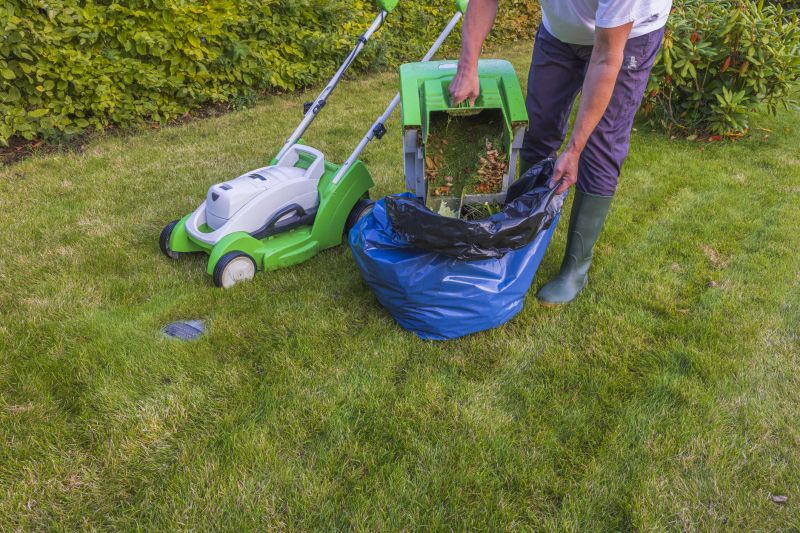 Lawn Debris Cleanup