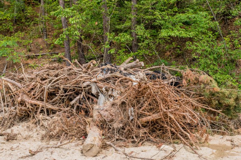 Lawn Debris Cleanup