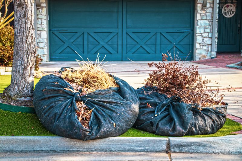 Lawn Debris Cleanup