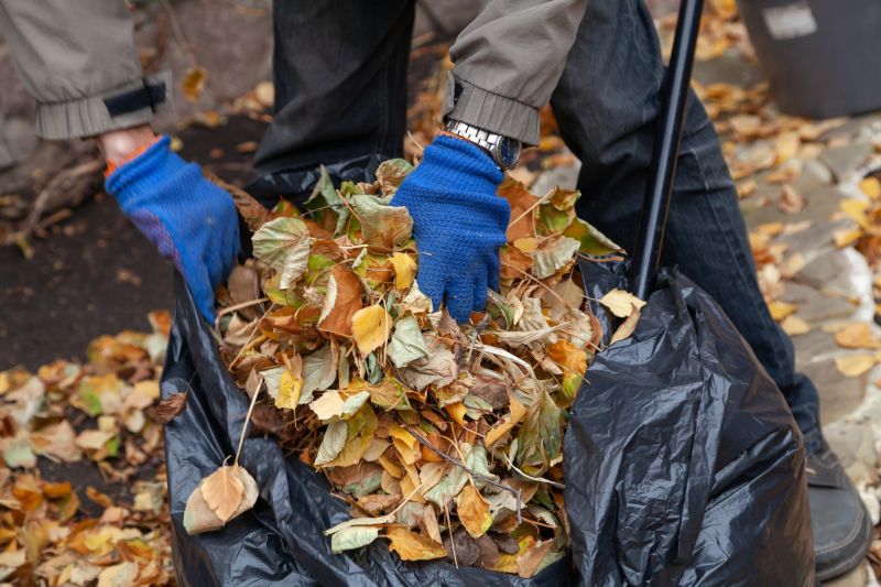 Leaf Cleanup Service