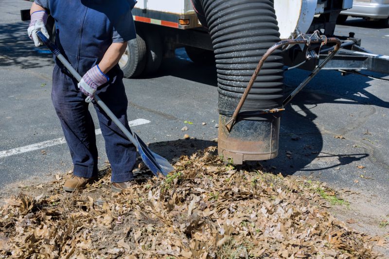 Leaf Clearing Service