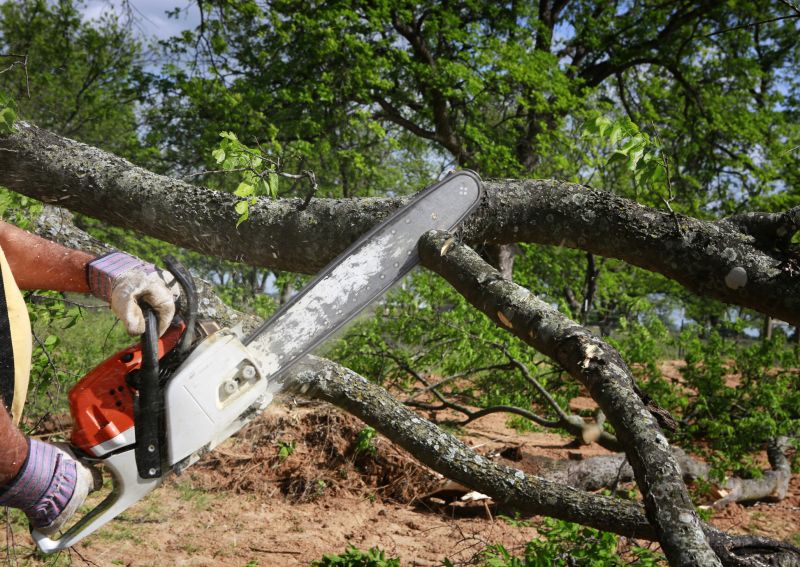Leaf Clearing Service