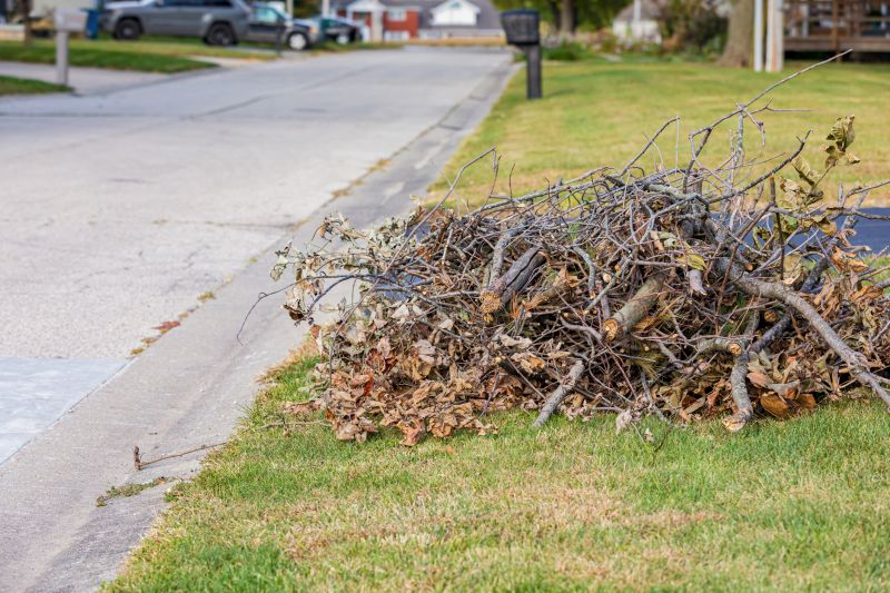 Leaf Clearing Service