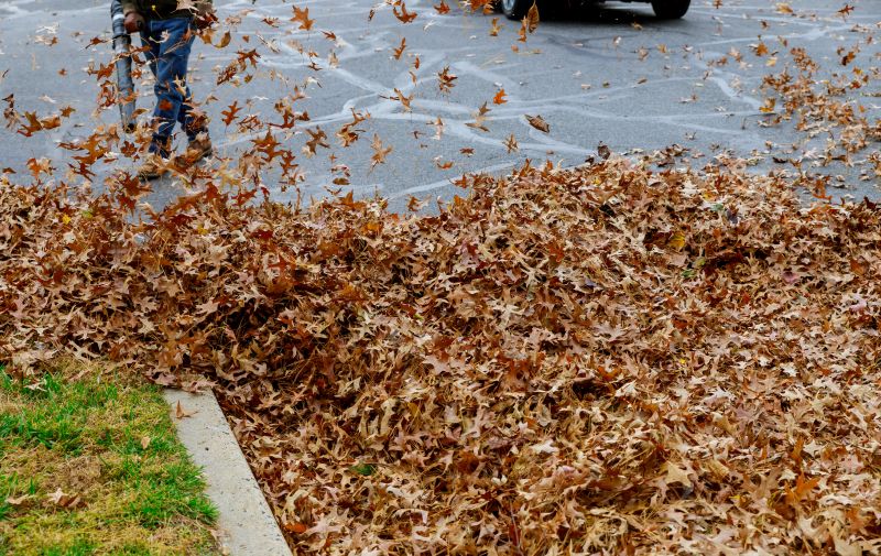 Leaf Hauling Service