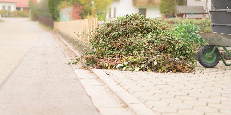 Leaf Pile Disposal