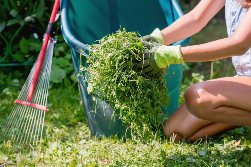 Leaf Raking Service