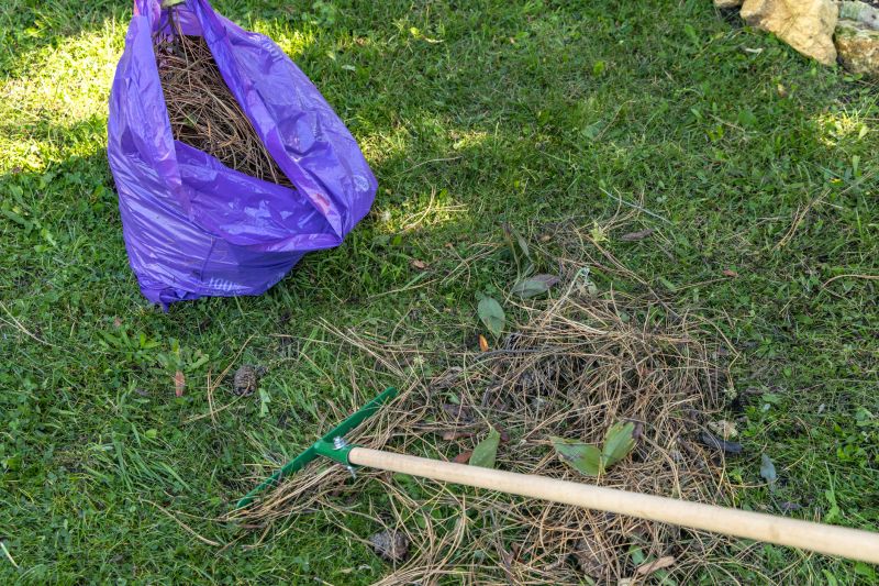 Leaves Raking