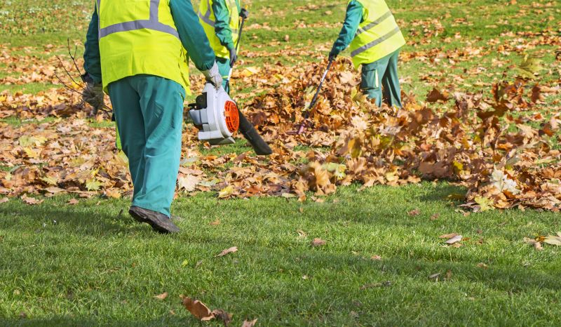Leaves Vacuuming