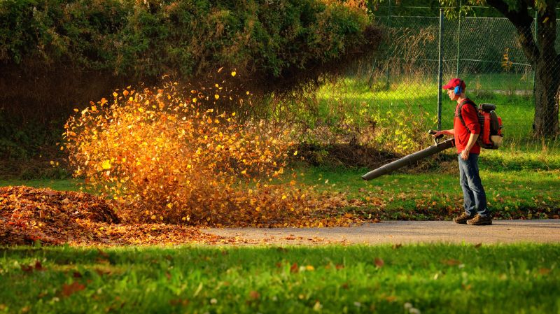 Leaves Vacuuming